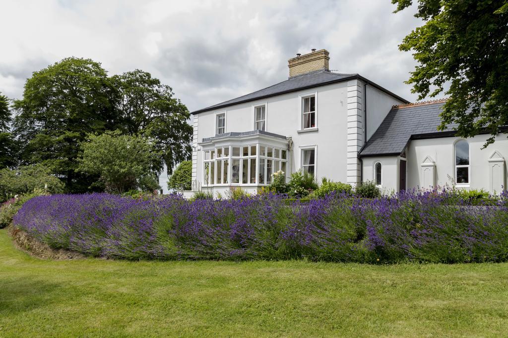Bed and Breakfast College Hill House à Slane Extérieur photo